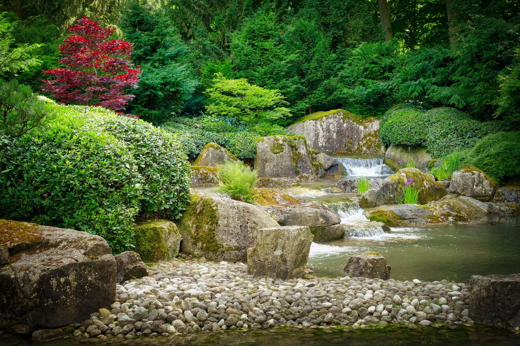 Kompozice japonské zahrady